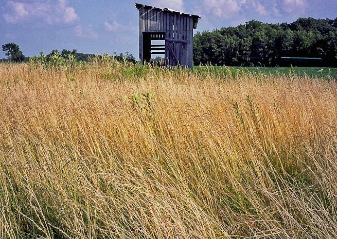 Abandoned Shed in Rural Ohio, Fine Art Photography © Amy Weiser, Photographer