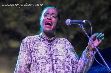 The Wailers at RoverFest 2013 © Amy Weiser, Photographer